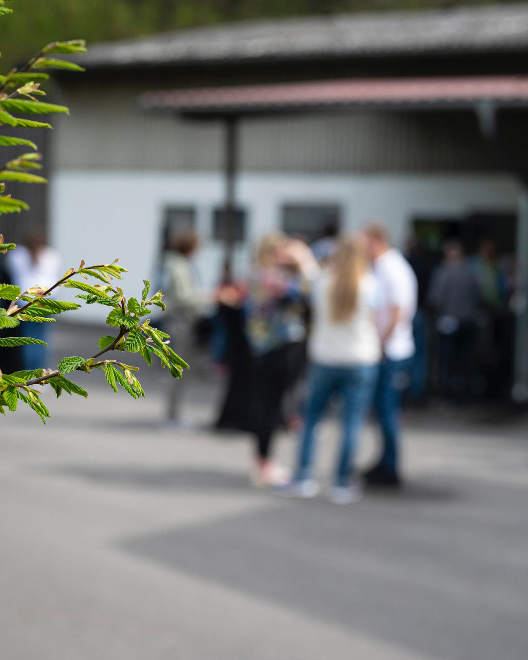 Tasting auf dem Wagyuhof, Bauernhof-Tasting, Hofführung