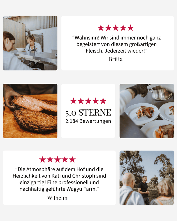 WAGYU RAGOUT / GULASCH