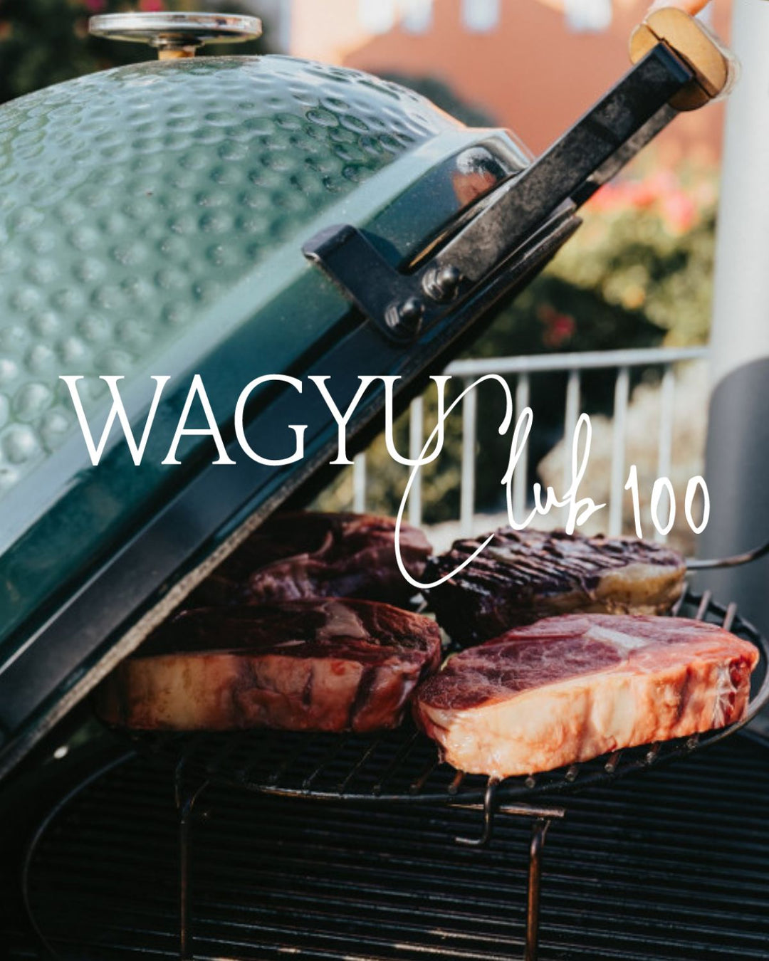 Ihr eigenes Wagyu-Rind, Wagyu Tier, Patenschaft, Wagyu Sauerland, Wagyu Club, Wagyu Mitgliedschaft, Fleisch Club, Fleisch Abo